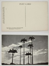 Vintage postcard royal for sale  Harlem