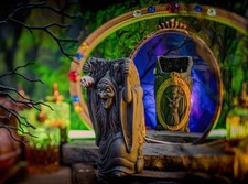 2025 disneyland trader for sale  San Diego