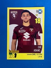 Figurine calciatori panini usato  Italia