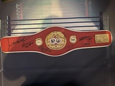 Ibf mini championship for sale  BELFAST