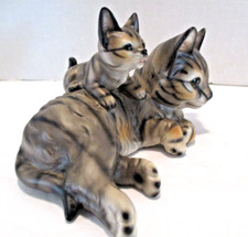 Vintage takai tabby for sale  Springfield