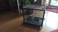 Transportkäfig papagei gebraucht kaufen  Coburg