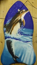 Schwimmbrett motiv bodyboard gebraucht kaufen  Itzehoe