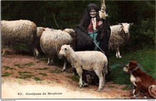 24644 postcard sheep d'occasion  Expédié en Belgium