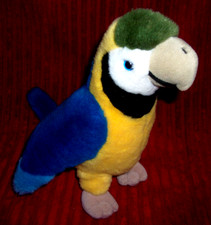 Blue yellow macaw for sale  UK