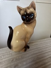 1960 siamese kitten for sale  LEEDS