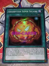 Super solar absorption d'occasion  Expédié en Belgium