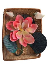 Vintage seashell shell for sale  Turtle Lake