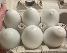 6 OVOS DE VIDRO DE LEITE VINTAGE VITORIANOS SOPRADOS À MÃO de vidro de galinha comprar usado  Enviando para Brazil