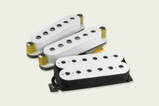 Tonerider hss1 alnico gebraucht kaufen  Lam