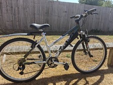 Marin bobcat trail for sale  SOUTHAMPTON