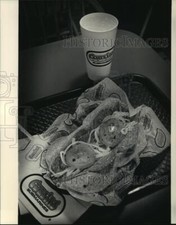 1987 press photo for sale  Memphis