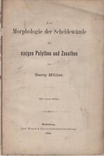 Müller sulla morfologia usato  Spedire a Italy