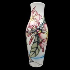 plumeria for sale plumeria for sale LEEDS