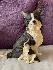 Dog studies leonardo for sale  PLYMOUTH