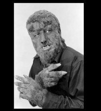 Wolf man photo for sale  Granite City