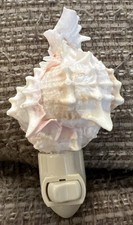 Real sea shell for sale  Herriman