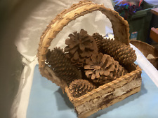 Vintage birch bark for sale  Portage