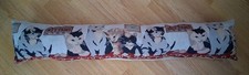 Pussy cat kitten for sale  CLACTON-ON-SEA