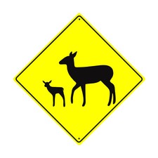 Deer fawn crossing for sale  Dallas