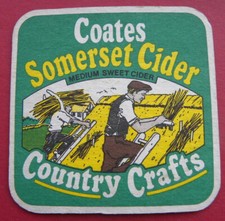 Coates somerset cider for sale  LINCOLN
