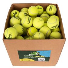 100 used tennis for sale  South Burlington