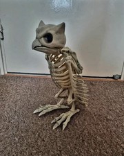 Large owl skeleton for sale  LONDON