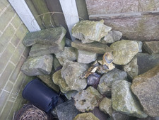 Garden rockery stone for sale  BRENTWOOD