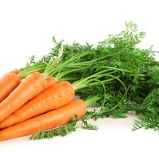 Vegetable plants bundle for sale  BANBURY