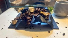 Understand aquarium cave for sale  WITHAM