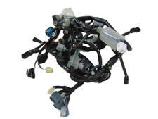 Impianto elettrico kawasaki usato  Italia