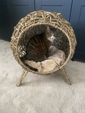 Rattan elevated cat for sale  ST. ALBANS
