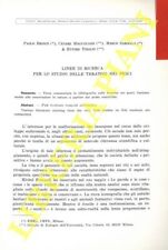 Bronzi paolo magugliani usato  Italia