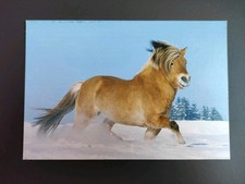 Norweger pferdepostkarte pferd gebraucht kaufen  Borna