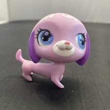 Dachshund dog purple for sale  Hillsboro
