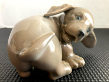 dachshund pup for sale dachshund pup for sale Cary