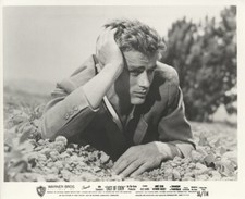 negative james dean 8 10 for sale negative james dean 8 10 for sale Laguna Beach