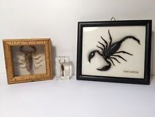 Curiosité lot scorpions d'occasion  Roussillon
