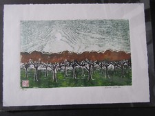 Modern tree orchard for sale  Roseburg