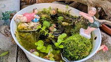 miniteich garten gebraucht kaufen  Bielefeld
