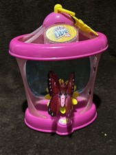 little live pets for sale little live pets for sale Stafford