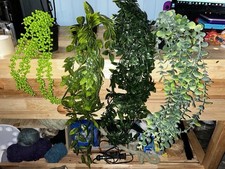 Lot artificial hanging for sale  Rising Sun