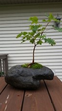Natural field stone for sale  Hartford