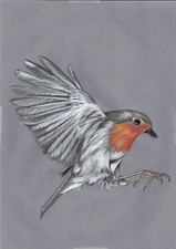 Original coloured pencil for sale  SOUTHSEA