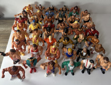Wwf wrestling hasbro usato  Italia