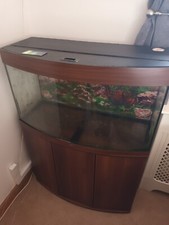 Jewel 180 fish for sale  LOWESTOFT