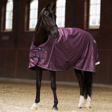 Imperial riding polo d'occasion  Expédié en Belgium