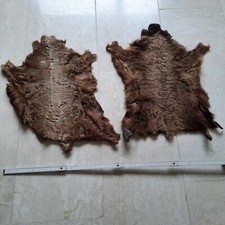 Hasenfell cm kaninchenfell gebraucht kaufen  Heuchelheim