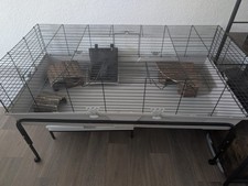 Käfig nager 70x140 gebraucht kaufen  Altenburg