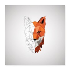 Fuchs polygon skizze gebraucht kaufen  Leipzig